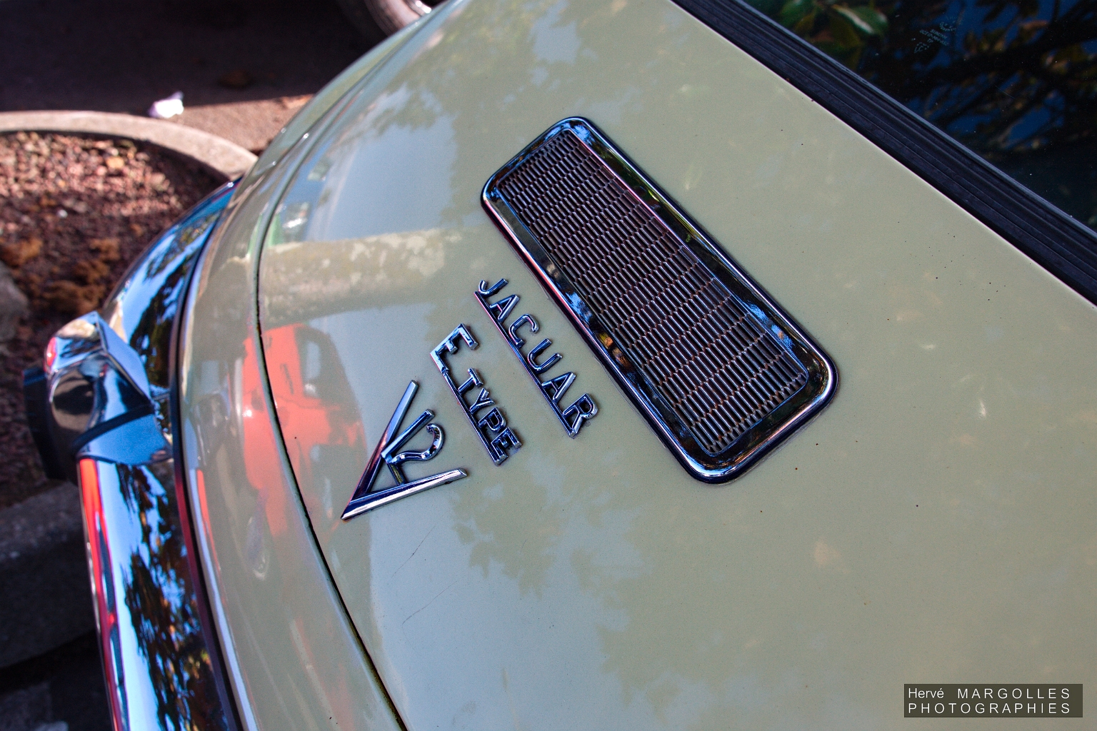 Jaguar Type E_01.jpg